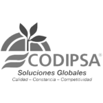logo-codipsa
